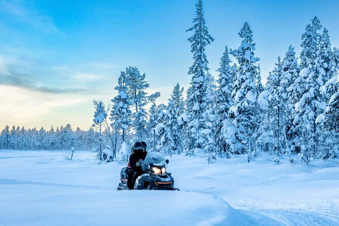 Snowmobile Tour with Small Group in Remote Wilderness 3 Hours - Key highlights worth clocking before you go