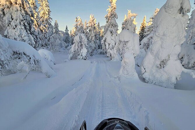 Snowmobile Tour with Small Group in Remote Wilderness 3 Hours - The route plan: 2.5 hours on snow, with photo and snack breaks
