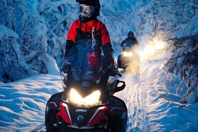 Snowmobile Tour with Small Group in Remote Wilderness 3 Hours - Price and value: what $222.27 buys you in real terms