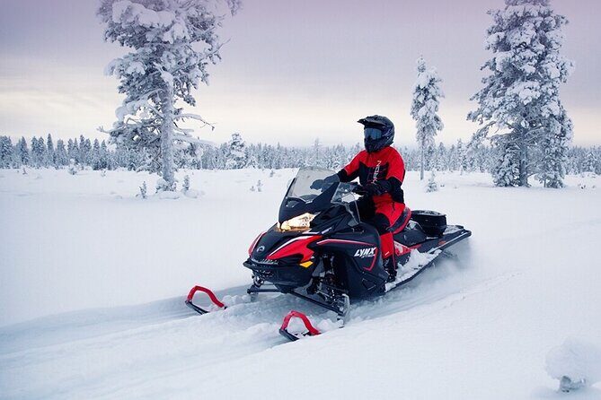 Snowmobile Tour with Small Group in Remote Wilderness 3 Hours - Safety briefing that actually helps you ride better
