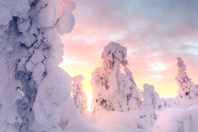 Snowmobile Tours in Rovaniemi Lapland - Key highlights you’ll care about