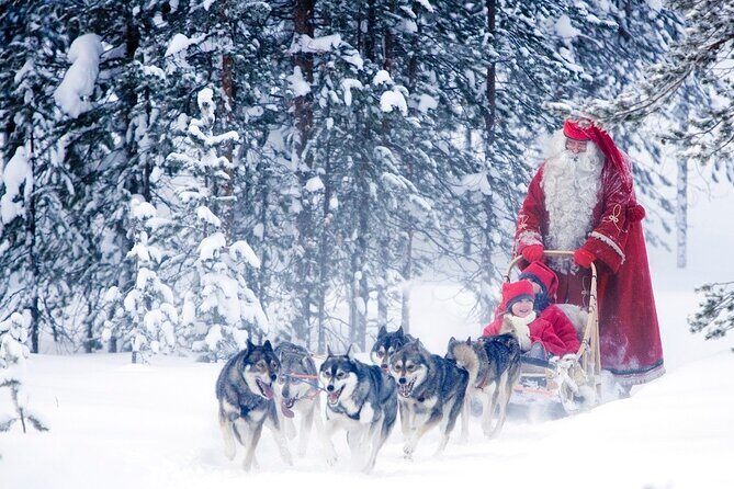 Snowmobiles and Huskies - The husky farm stop: why this part matters more than the ride