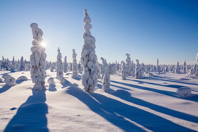 Snowshoe Trip in the Forest - The halfway barbeque break: warmth, snacks, and dietary options