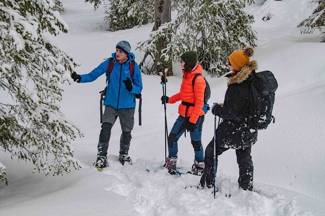 Snowshoeing Adventure with Ice-Fishing, Fire and Survival - Campfire Survival Skills: Using Local Tools and Arctic Plants