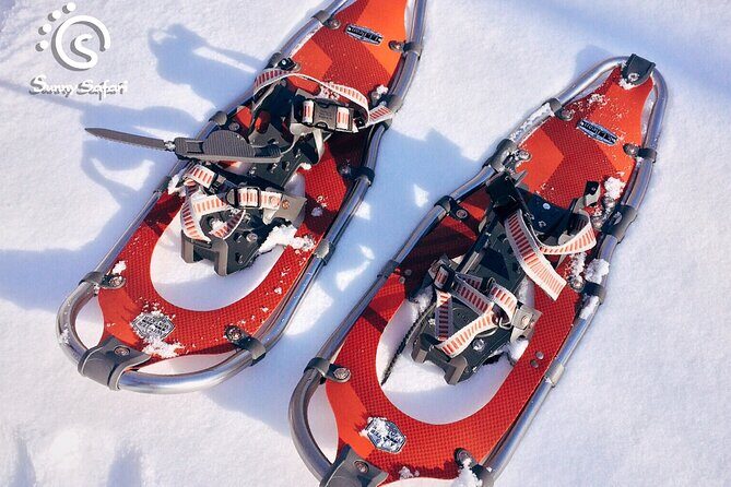Snowshoeing in Lapland Wilderness - Pickup, meeting point, and how to avoid the most common winter time-wasters