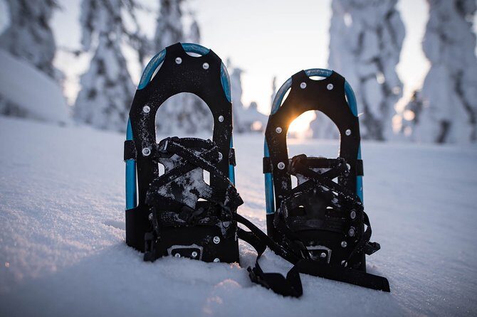 Snowshoeing in the Arctic Circle Wilderness - Pickup, start time, and the 11:00 am schedule reality