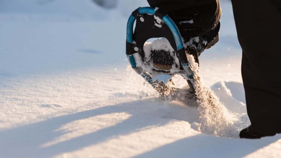 Snowshoeing in the Arctic Wilderness - Quick Lapland Snowshoe Safari Takeaways