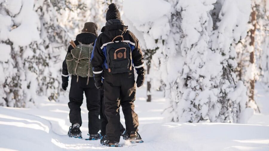 Snowshoeing in the Arctic Wilderness - Price and Value: Is $140 Worth It for 4 Hours?