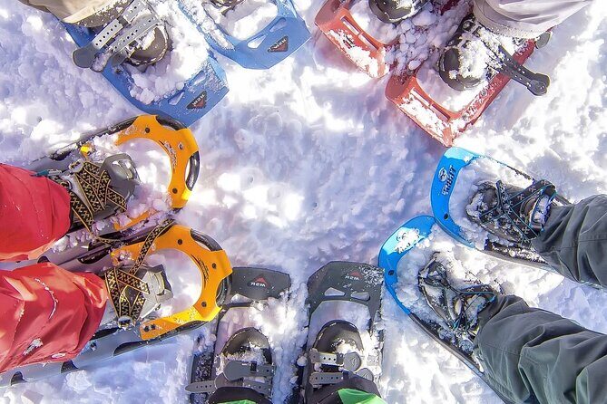 Snowshoeing tour with Wild Lunch - Key highlights worth knowing