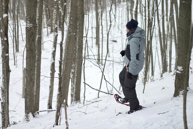 Snowshoeing tour with Wild Lunch - Price and what your $95.53 buys in the real world