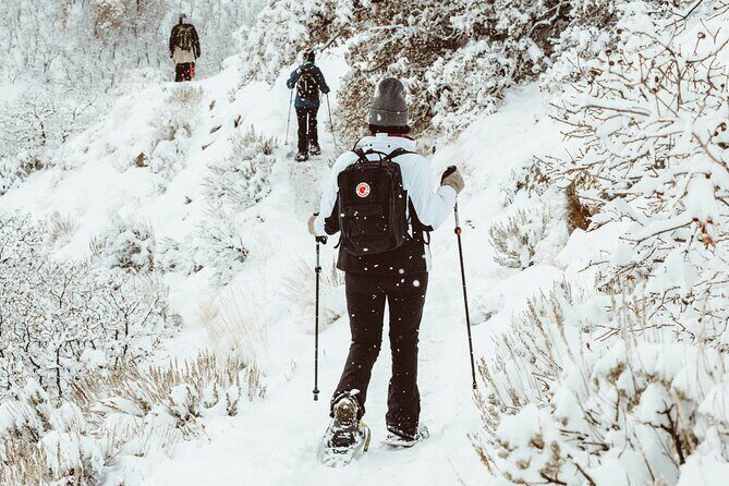Snowshoeing tour with Wild Lunch - Who this snowshoeing with Wild Lunch tour suits best