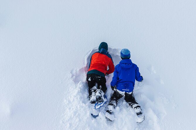 Snowshoeing tour with Wild Lunch - Walking through a Lapland winter that feels quiet and close