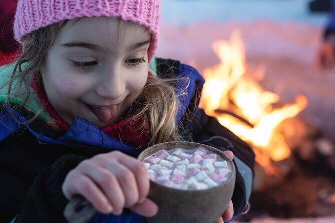 The Hidden Place of Santa - Reindeer Sleigh Ride (400 Meters) and the Driving License for Kids
