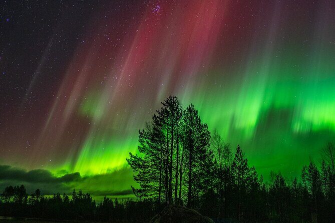 The Ultimate Guaranteed Aurora Hunt - Group size and comfort: max 9 people at night