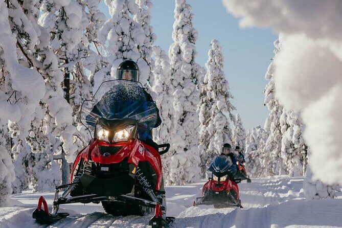 Thrill of Snowmobiling for Adults Only - A faster kind of Lapland: adults-only and no slow add-ons