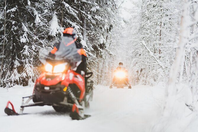 Thrill of Snowmobiling for Adults Only - Wild Nordic meeting point: where to show up and how pickup works