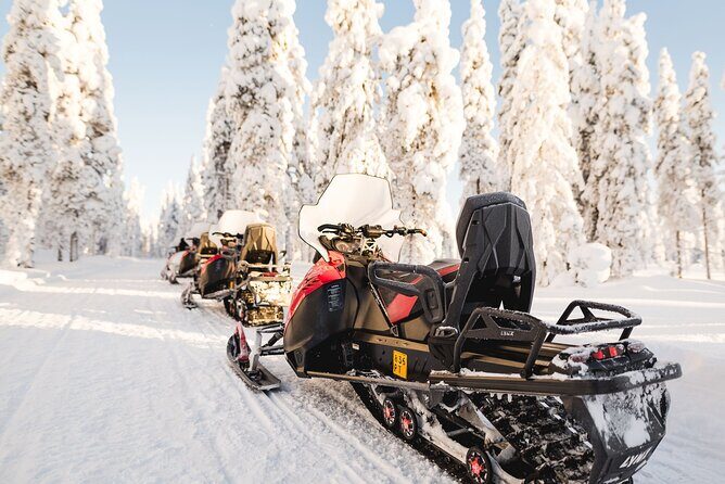 Thrill of Snowmobiling for Adults Only - Stops, photos, and that cold-air sense of speed