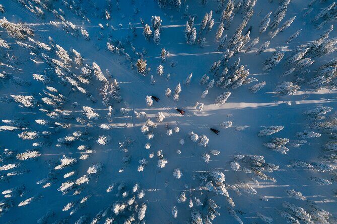 Thrill of Snowmobiling for Adults Only - Small group energy: what a 12-person cap changes