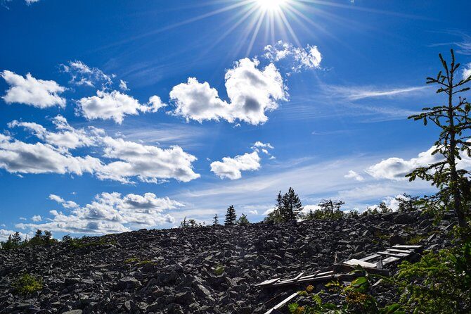 Trip to Pyhä-Luosto National Park and Amethyst Mine - Who should book this tour?