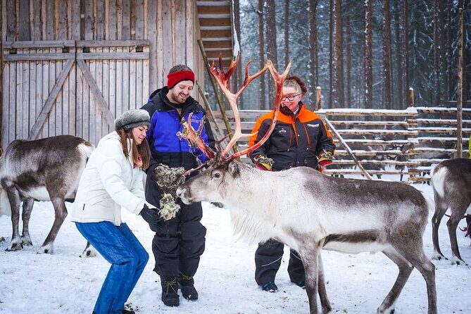 Two Full Days in Lapland - Your 3-hour Day 2 choice: ice fishing, survival skills, or snowshoeing