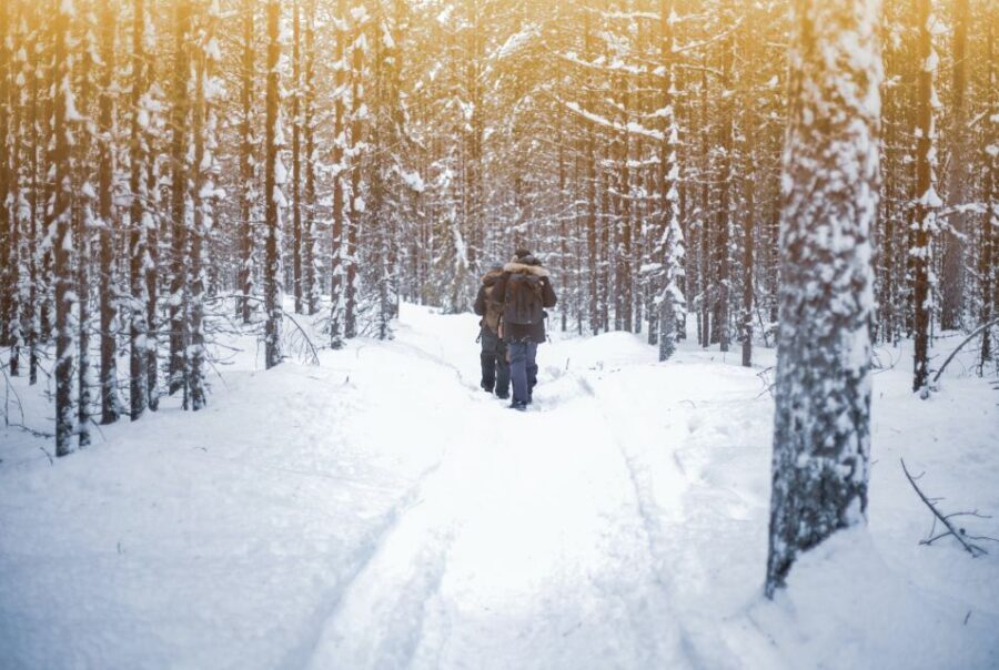 Vikakongas Hike: Nature and Silence - Key things I’d plan around on the Vikakongas Hike