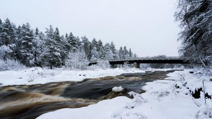 Vikakongas Hike: Nature and Silence - Why the Vikaköngäs Trail feels special in Arctic Lapland