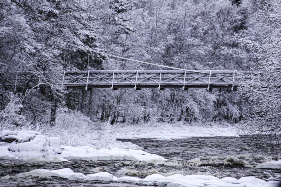 Vikakongas Hike: Nature and Silence - Should you book the Vikakongas Hike with Wonderlapland?