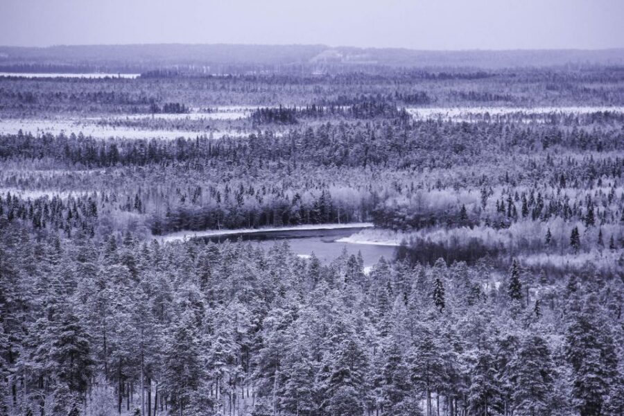 Vikakongas Hike: Nature and Silence - Rovaniemi pickup to river bridge: the 2.5-hour rhythm that works