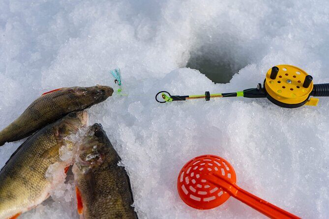VIP Ice Fishing "ICEBREAKER" Lunch in Glass Igloo - Snow scooters: fun laps, solid guidance, and family-friendly pacing