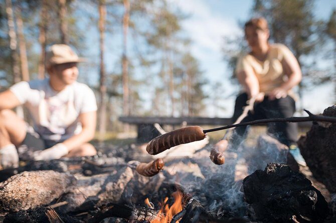 Wild Berries and Mushroom picking tour - Key things that make this tour worth your time