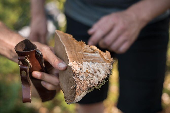 Wild Berries and Mushroom picking tour - Taste Break by the Open Fire: Snacks, Coffee, and Real Recovery Time