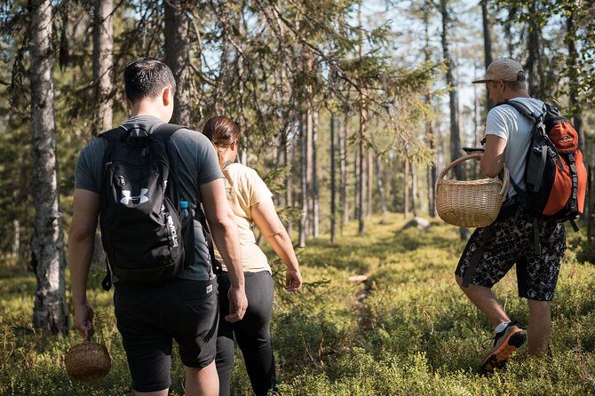 Wild Berries and Mushroom picking tour - What a 3-Hour Wild Berry and Mushroom Tour Really Means