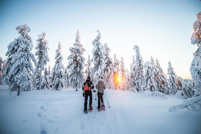 Wilderness snowshoe adventure - Key highlights worth your attention