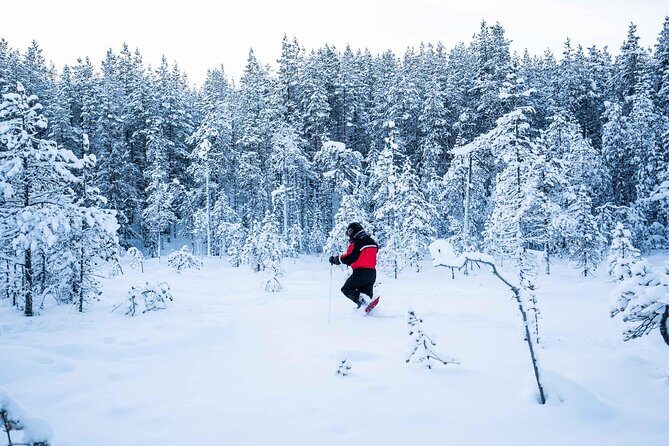 Wilderness snowshoe adventure - Equipment and winter clothing: what’s provided, and what you should bring