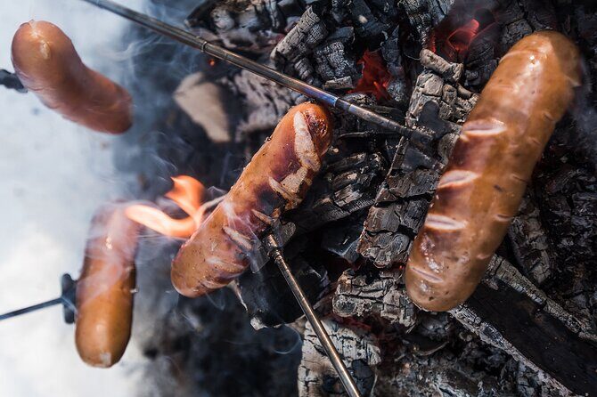 Wilderness Survival Tour - Winter - Plants, Trees, and the Logic of Lapland Woods