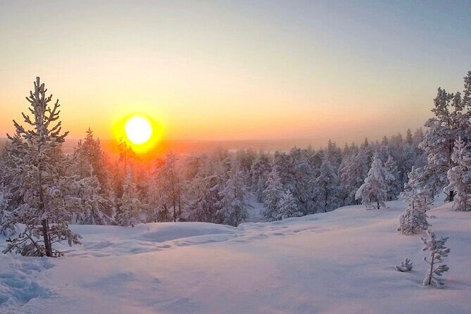 Wilderness Survival Tour - Winter - Weather, Timing, and How to Plan Your 3.5 Hours